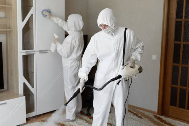 Trusted Hoarding Cleanup service in Demarest, NJ - Four Month Blood Cleanse